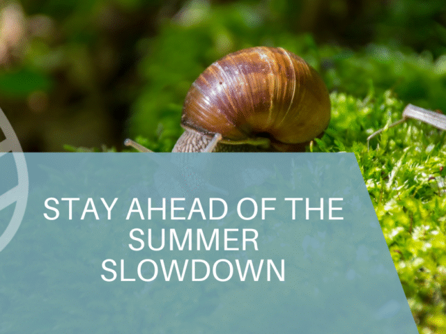 Stay Ahead of the Summer Slowdown